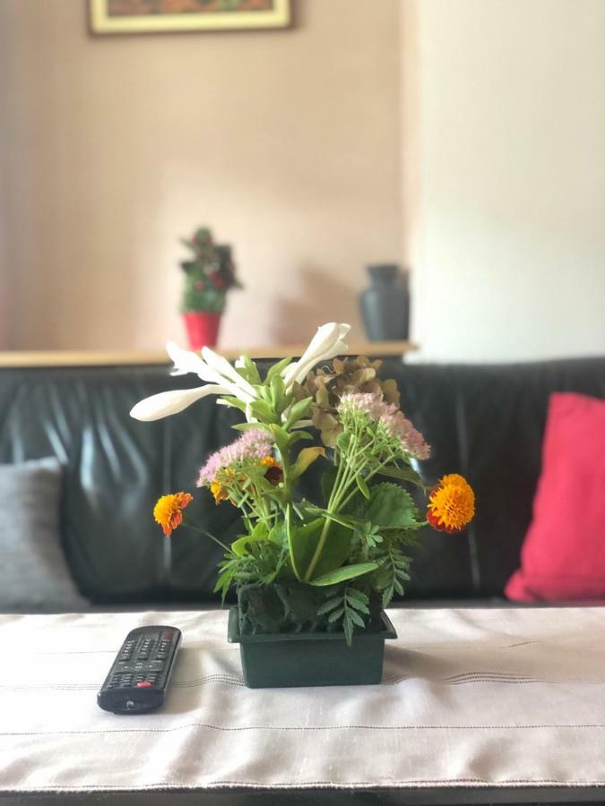 Apartment Near Center سراييفو المظهر الخارجي الصورة
